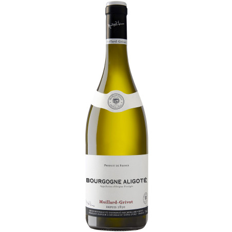 Bourgogne Aligoté - 2024 | Moillard