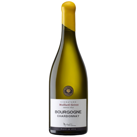 Bouteille Moillard Bourgogne Chardonnay Cuvée Signature 2021 Bouteille Moillard Bourgogne Chardonnay Cuvée Signature 2021