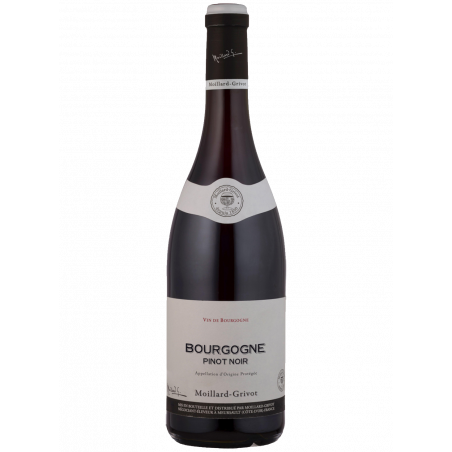 Bouteille Moillard Bourgogne Pinot Noir 2021