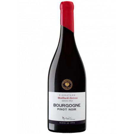 Bouteille Moillard Bourgogne Pinot Noir Cuvée Signature 2020