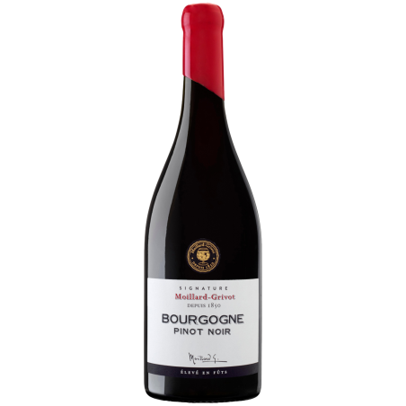 Bouteille Moillard Bourgogne Pinot Noir Cuvée Signature 2020 Bouteille Moillard Bourgogne Pinot Noir Cuvée Signature 2020