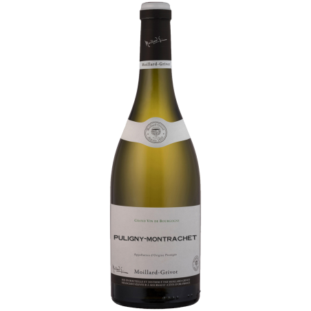 Puligny Montrachet - 2022 | Moillard