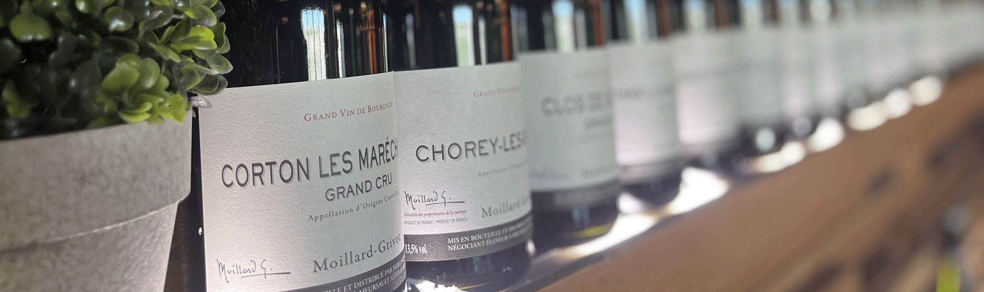 bouteilles de vin de bourgogne