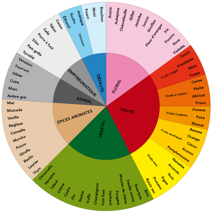 roue des arômes vin