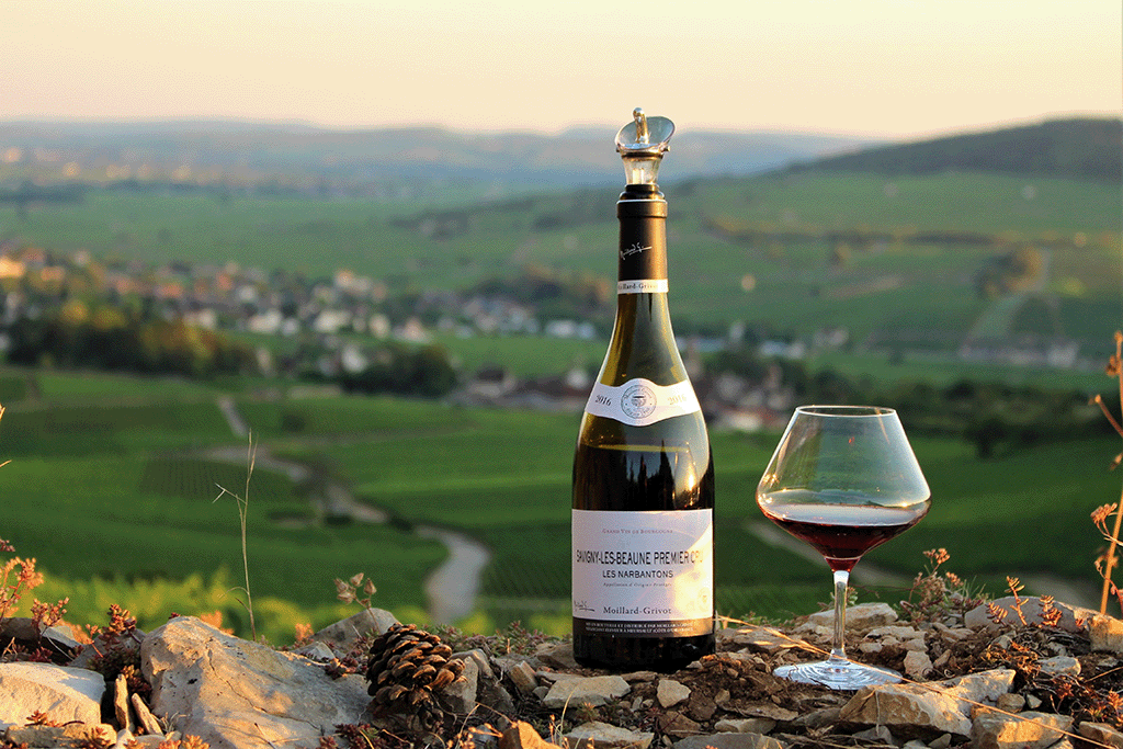 vin rouge bourgogne savigny les beaune