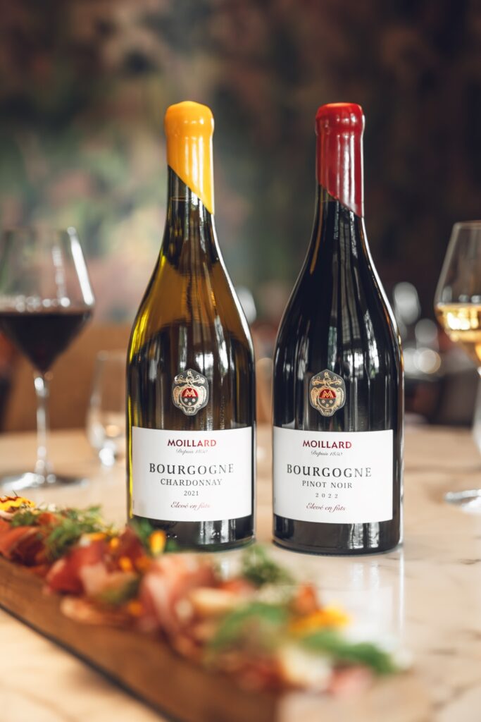 Vins de Bourgogne cépage blanc et rouge