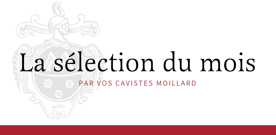 Notre Sélection du Mois : suivez nos Inspirations | Moillard