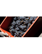 Vin Rouge de Bourgogne : Beaune, Gevrey Chambertin... | Moillard