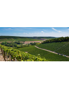 Vins Blancs de Bourgogne en Appellations Villages | Moillard