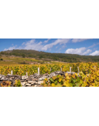 Vins Blancs de Bourgogne en Appellations Premiers Crus | Moillard