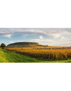 Vins Blancs de Bourgogne en Appellations Grands Crus | Moillard