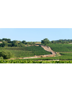 Vins Rouges de Bourgogne en Appellations Premiers Crus | Moillard