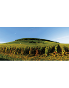 Vins Rouges de Bourgogne en Appellations Grands Crus | Moillard